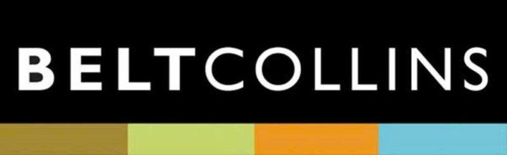 Logo Belt Collins